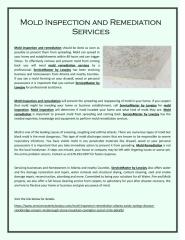 Mold Inspection and Remediation Services.pdf