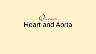 Heart and Aorta.pps