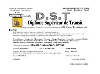 DST_E.doc