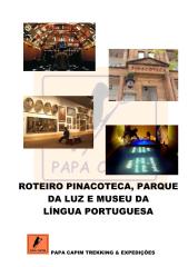 CAPÍTULO 8 - ROTEIRO PINACONTECA, PARQUE DA LUZ E MUSEU DA LINGUA PORTUGUESA.pdf